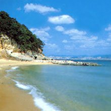 白砂青松の白い砂浜と美しい松林